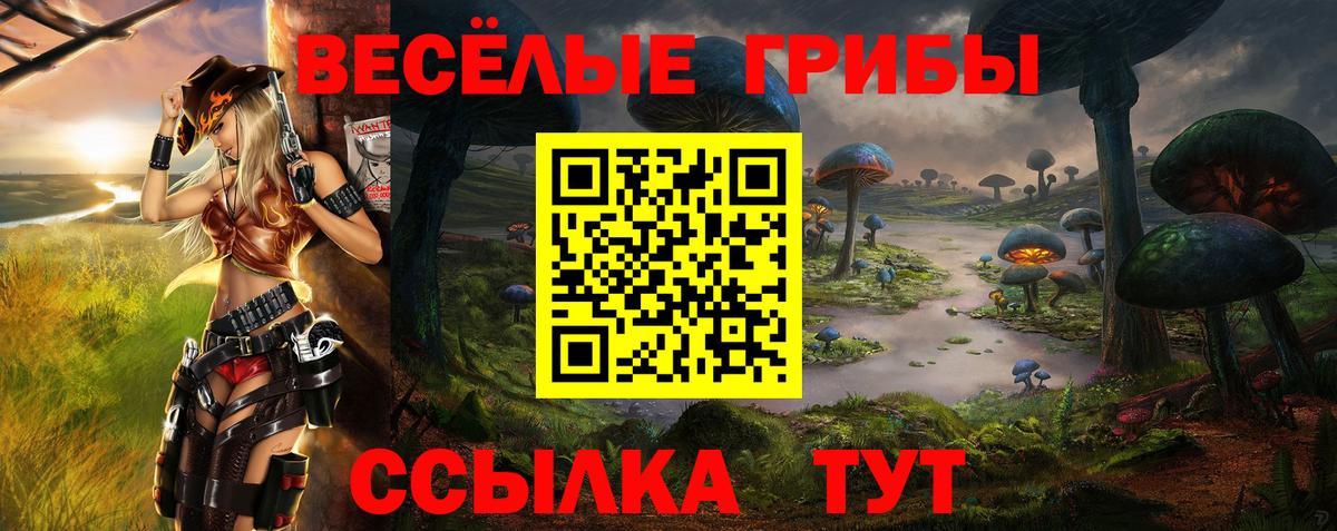 Псилоцибиновые грибы Cubensis Таганрог