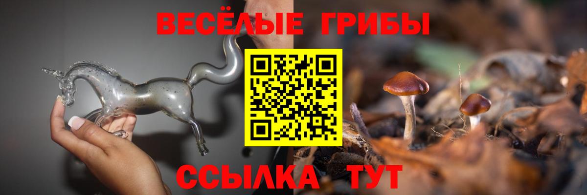 Таганрог  Галлюциногенные грибы Psilocybe  сколько стоит  Вход с VPN 